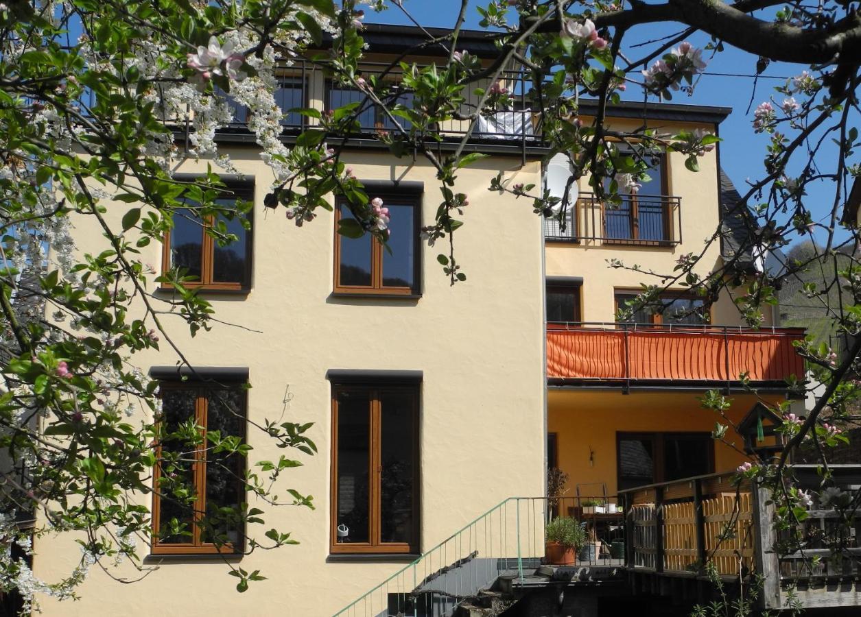 Ferienwohnung Ellebett Müden Kültér fotó